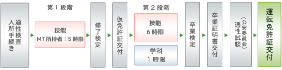 準中型5ｔ限定免許所持者の免許取得の流れ